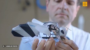 The BionicBee is small, ultra-light and can fly autonomously in a swarm thanks to an indoor localisation system with ultra-wideband technology. Video Credit: フエスト株式会社（Festo Japan） #engineering #technology #bionicwings | Wevolver.com