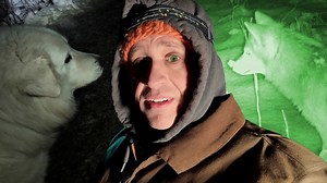 Farm Dogs vs. Coyotes: The Ultimate Showdown