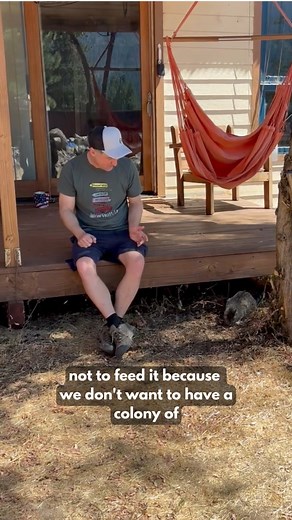 The Crescent Store Crescent Mills on Reels