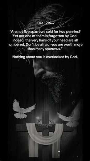 God Knows Every Hair on Your Head 🤍 You Are Not Forgotten | Luke 12:6–7 ✨