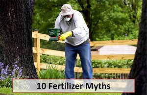 10 Fertilizer Myths That Will Save You Money