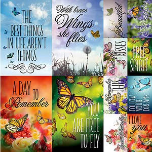 Ella and Viv Paper Company The Butterfly Effect Poster Stickers