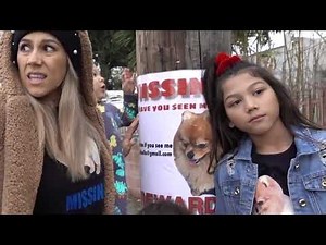 Looking for March Pom | Familia Diamond