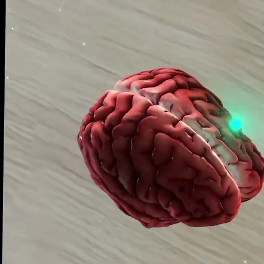 Bring Learning to Life with ThinkTrail: 3D, AI, and Interactive Experiences