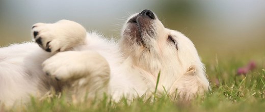 Active Recovery Ultimate Guide: 5 Rest Day “Workouts” | Nerd Fitness