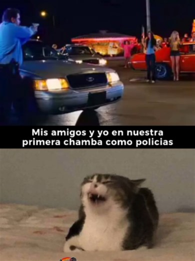 Meme: Mis Amigos y Yo en Nuestra Primera Chamba como Policías 😂