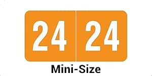 MINI 2024 Year Labels, Orange, Compatible with Smead SMYM Series, Doctor Stuff 2024 Chart Stickers, USA Made Year Labels for End Tab File Folders, 500/Roll, 1 Roll, 1/2" x 1" - Small Labels