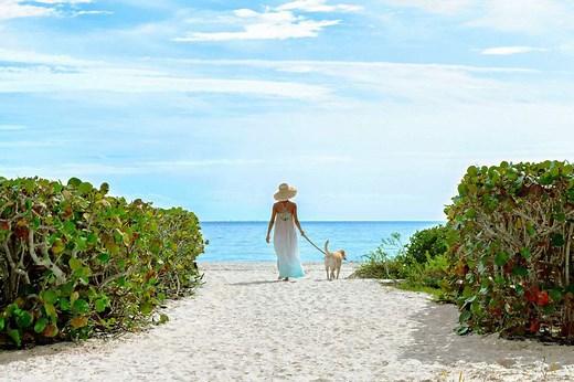 Explore The Natural Wonders Of This Enchanting Florida Island