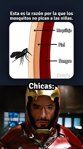 Finalmente encontré la verdadera razón🦟😑