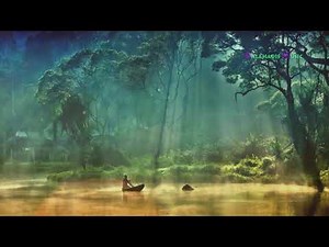 Birds and Native American Flute 1 Hour of Powerful Meditation Music for Healing Relaxation (HD)