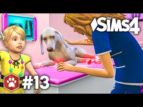 Dream Job: Veterinarian | Let's Play The Sims 4 Cats & Dogs #13
