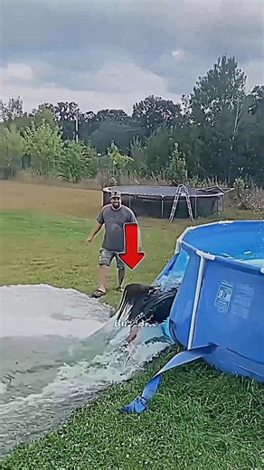 Pool in Sekunden zerstört?! 😳 Das passiert dann! #poolparty #pool #prank #poolfun