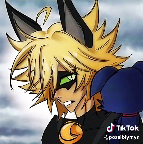 Exploring Miraculous Ladybug and Tikki's Adventures