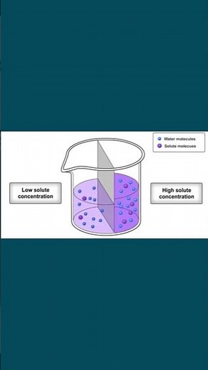 Osmosis #science #osmosis #biology #shortvideo #short