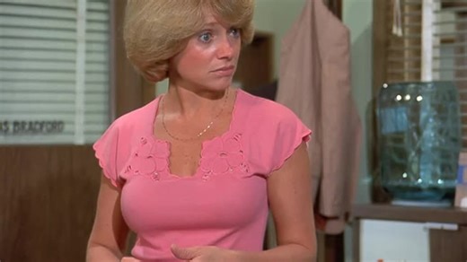 Eight Is Enough S03:E06 - The Flunked and the Funked