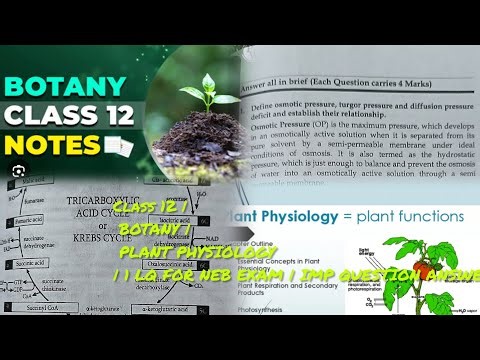 Class 12 | BOTANY | PLANT PHYSIOLOGY | 1 LQ FOR NEB EXAM | IMP QUESTION ANSWER