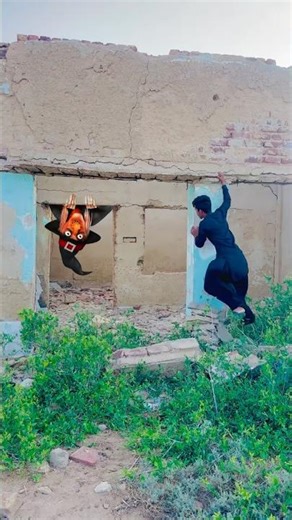 Best Amazon Alexa Gadgets August 2025 August 2025