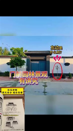 #风水布局 #风水知识 #风水 #风水玄学 #八字