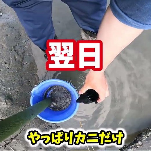 【釣り】ウナギ、仕掛けの筒を河口に設置 #Shorts