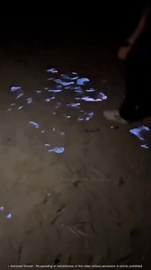 Why Does Sand Catch Fire Here? . . . . #science #sciencefacts #reels #shorts #Informative #education | Astronaut Shower