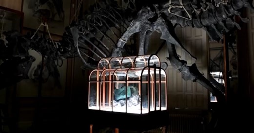 ¿Moda prehistórica? Científicos presentan bolso hecho con “cuero” de dinosaurio; así lo obtuvieron