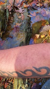 I love this classifier #bedrockminecraft #bedrock #goldprospecting #goldpanning #goldmining #treasure #aur #gold #minerals #gemstones #altin #emas #worklifebalance #metaldetecting | FishnGold