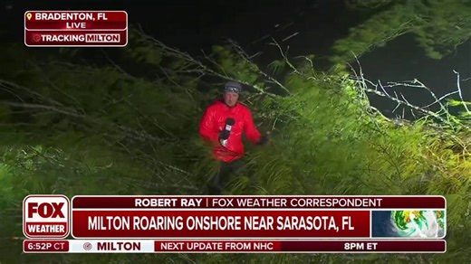 Tree falls on FOX Weather reporter during Hurricane Milton | Latest Weather Clips | FOX Weather
