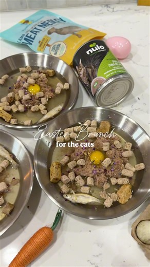 Don’t tell the Easter Bunny we used rabbit bone broth🤫 #catfood #feedmycats #catmom #easter #brunch