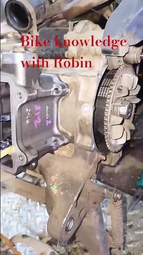 #shortvideo #shortsfeed