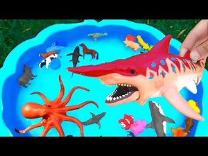 Animals Farm Toys For Kids Baby Find Mom - Learn Animal Names - Toys Video For Children