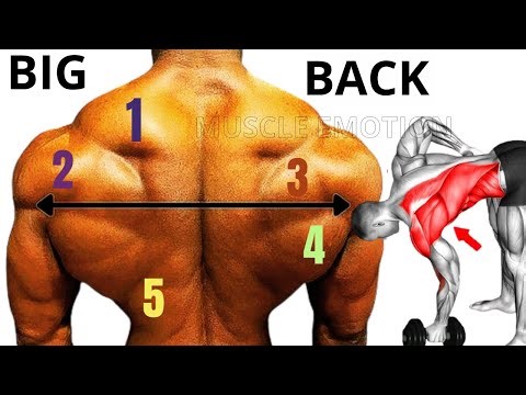 5 BEST BACK EXERCISES TO GET WIDE BACK AT GYM / MUSCULATIONS DU DOS
