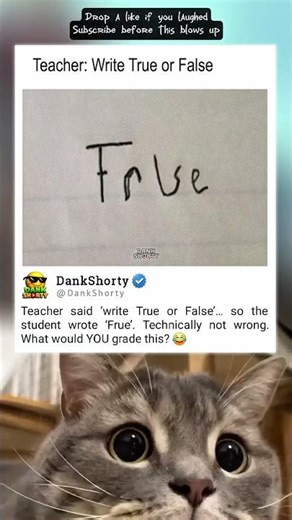 True or False Test Ends with “Frue” #DankShorty #Funny #Memes #Relatable