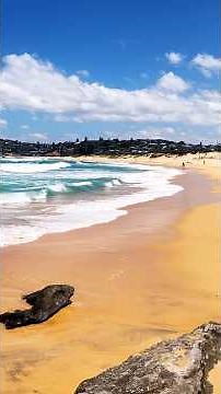 Summer Holiday At North Curl Curl Beach! Cliff Richard (1963)