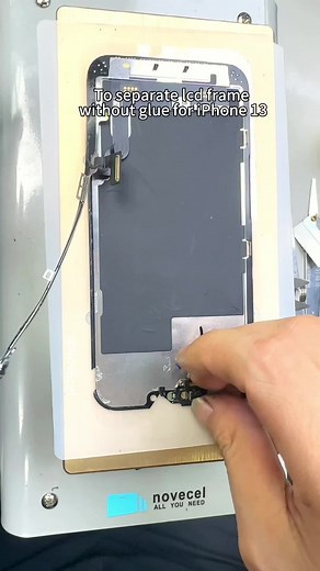 Sabrina Xiang on TikTok