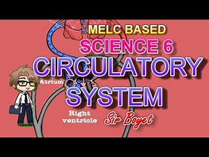 Science 6, Explain how the organs of each organ system work together / The Circulatory System.
