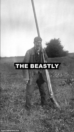 The Punt Gun: The Shotgun That Could Take Out 50 Birds in One Shot!