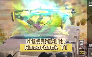 新版本枪械测评Razorback T1【CODM战场】