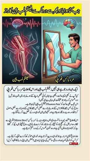 Feeling a Missing Arm? The Bizarre Science of Phantom Limbs | The Mirror Box Miracle