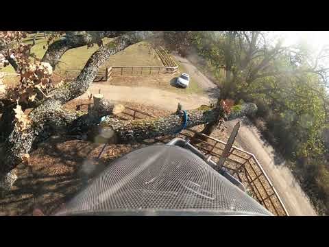 Nifty Lift TM34 to remove dead Oak 12:02:25