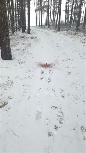 Megatron Petarda #fireworks #feuerwerk #petardy #polenboller