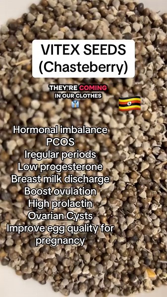 Using Vitex for Hormonal Balance and Pregnancy