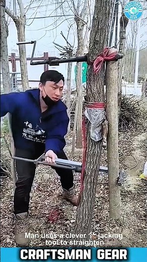 The SIMPLE tool farmers use to make a crooked tree grow perfectly STRAIGHT 🌳
