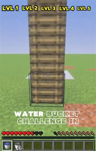 Water bucket challenge in Minecraft #mc #minecraft #funny #fyp #viral