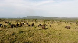 16K views · 200 reactions | Every action. Every choice. Every chocolate. That’s what makes a true impact possible. Watch our #GiveBack video to learn more. | Endangered Species Chocolate | Facebook