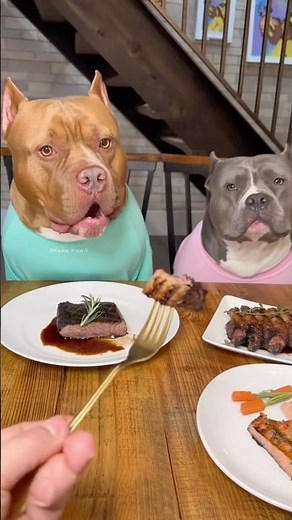 The Fine Dining Dogs #sora2