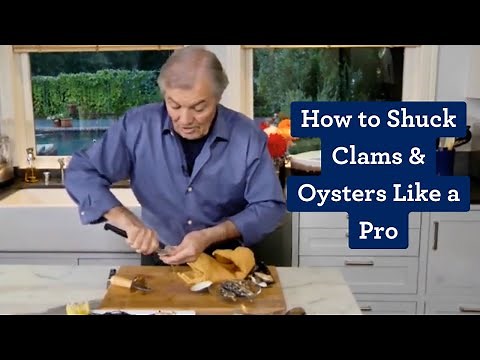 How to Shuck Clams & Oysters Like a Pro