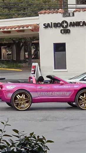 Was that a toilet paper roll on the rear bumper 😭