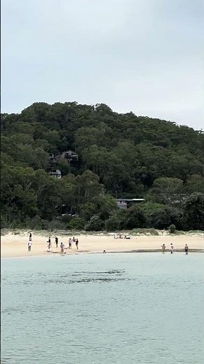 Currumbin Rock: Where Legends Ride the Alley! 🌊🪨