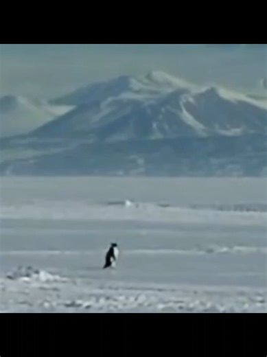 "I know of no better life purpose than to perish in attempting the gre...