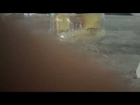 Nsci/WNET/hit effects (Sponsored by Preview 2 effects) (MOST POPULAR VIDEO)